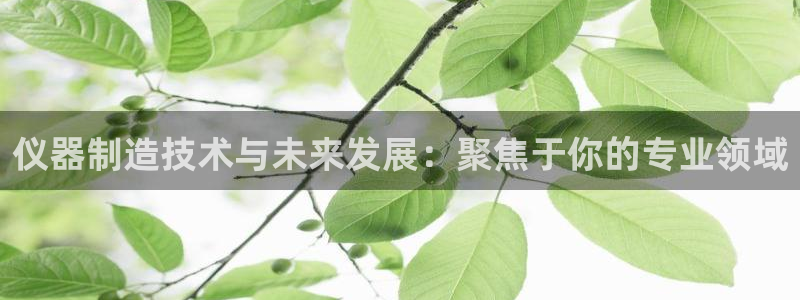 星欧娱乐号7o777：仪器制造技术与未来发展：聚焦于你的专业