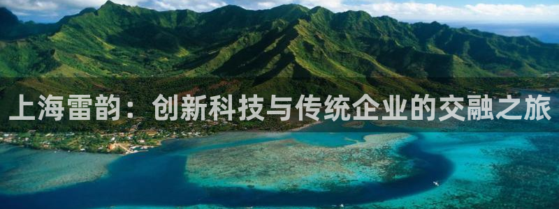 欧星娱乐真人：上海雷韵：创新科技与传统企业的交融之旅