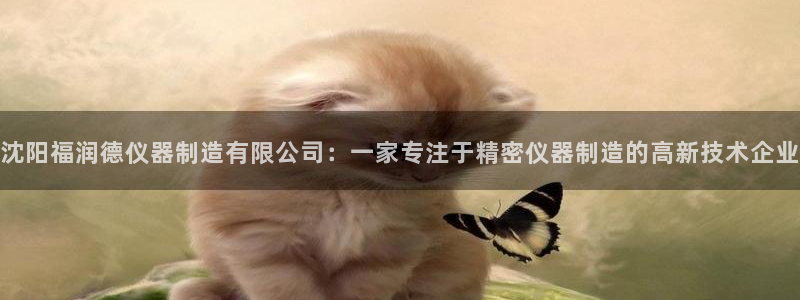 欧星娱乐最新地址：沈阳福润德仪器制造有限公司：一家专注于精密