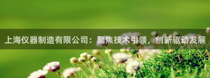 星欧娱乐登录：上海仪器制造有限公司：聚焦技术引领，创新驱动发