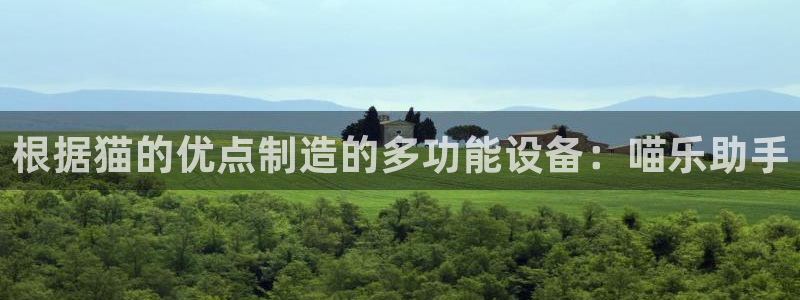 星欧娱乐负责人：根据猫的优点制造的多功能设备：喵乐助手