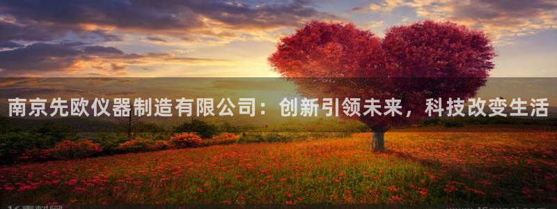 欧星娱乐主播：南京先欧仪器制造有限公司：创新引领未来，科技改