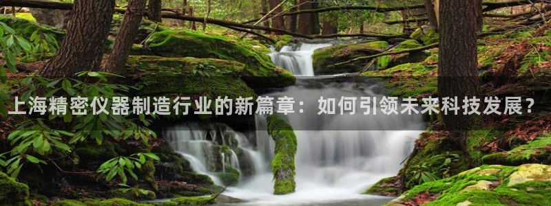 星欧娱乐现在叫什么：上海精密仪器制造行业的新篇章：如何引领未