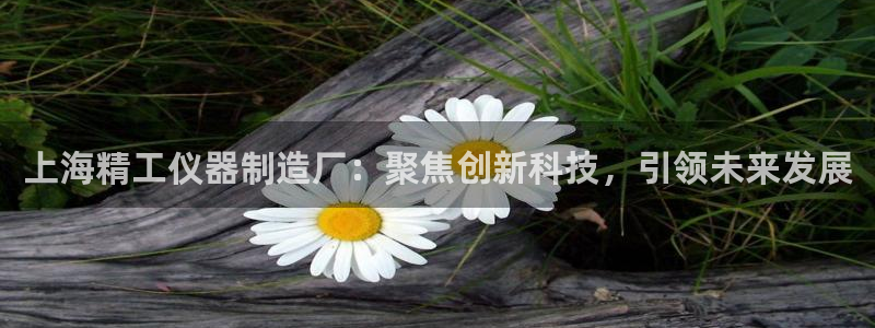 欧星娱乐国际平台：上海精工仪器制造厂：聚焦创新科技，引领未来