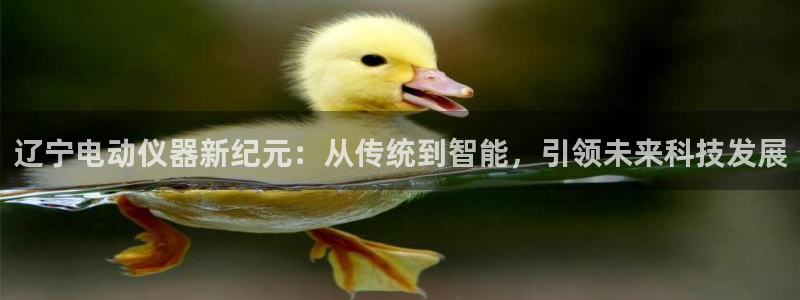 欧星娱乐电竞：辽宁电动仪器新纪元：从传统到智能，引领未来科技