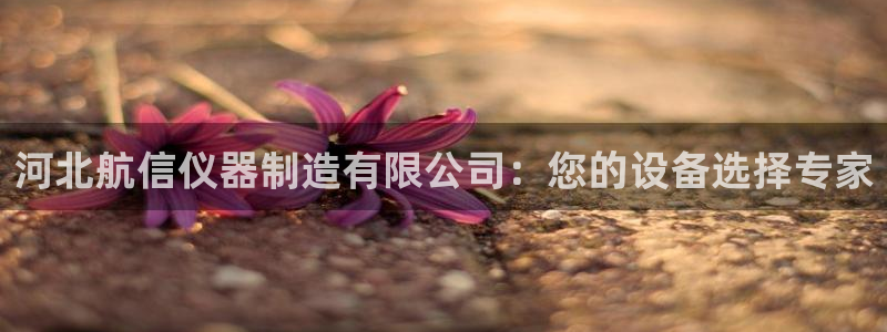 星欧娱乐彩票软件下载：河北航信仪器制造有限公司：您的设备选择