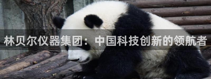 星欧娱乐登录网页版登录：林贝尔仪器集团：中国科技创新的领航者