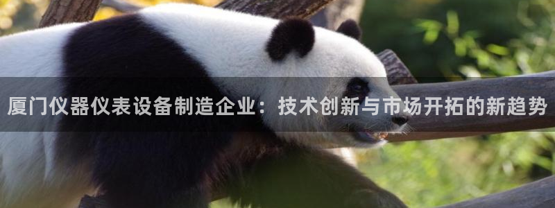 欧星娱乐最新地址：厦门仪器仪表设备制造企业：技术创新与市场开