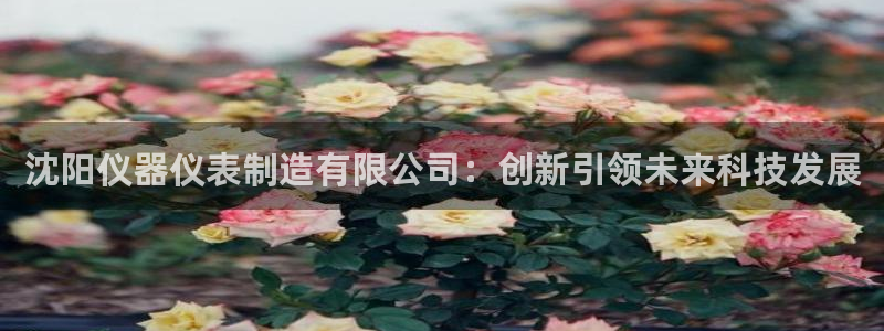 欧星娱乐视频：沈阳仪器仪表制造有限公司：创新引领未来科技发展