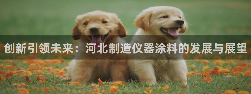 星欧娱乐官方网站首页：创新引领未来：河北制造仪器涂料的发展与