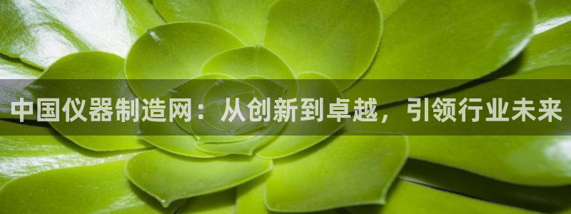 星欧娱乐黑科技是正规的吗：中国仪器制造网：从创新到卓越，引领