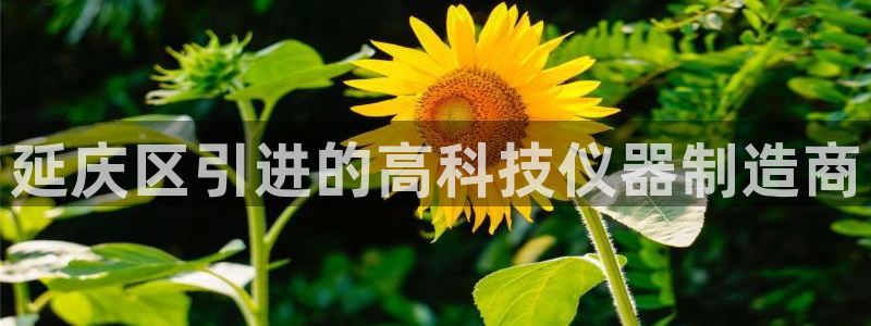 乌鲁木齐欧乐星城娱乐：延庆区引进的高科技仪器制造商