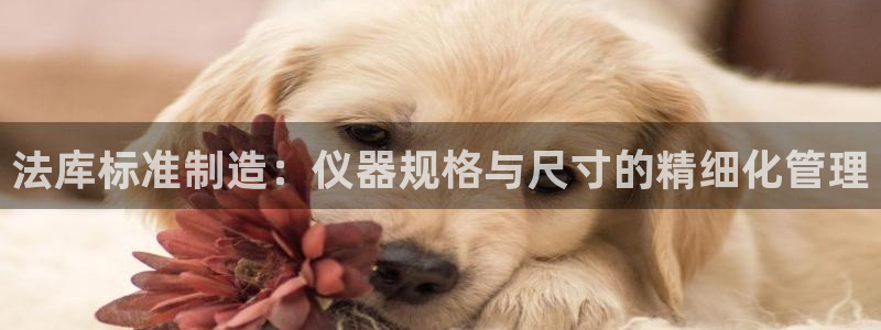 星欧娱乐客服联系方式：法库标准制造：仪器规格与尺寸的精细化管