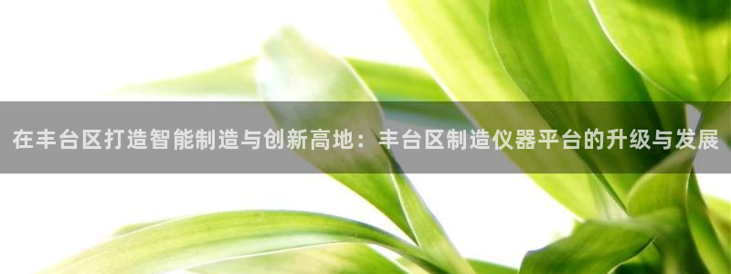 欧星娱乐彩票去：在丰台区打造智能制造与创新高地：丰台区制造仪