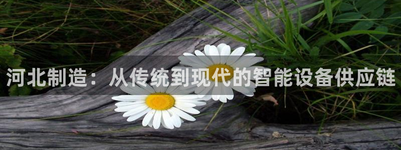 星欧娱乐是什么平台：河北制造：从传统到现代的智能设备供应链