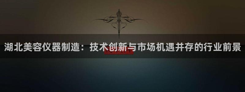 星欧娱乐娱乐是正规的吗：湖北美容仪器制造：技术创新与市场机遇