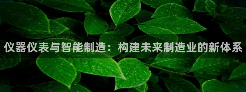 欧汇星娱乐：仪器仪表与智能制造：构建未来制造业的新体系