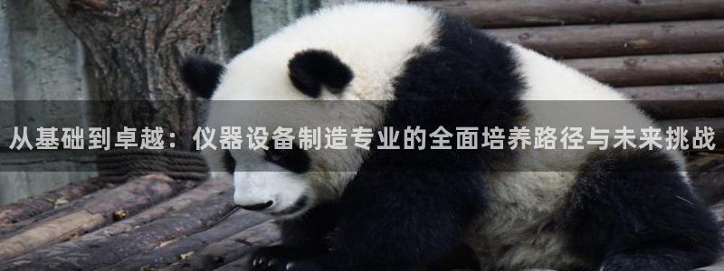星欧娱乐下载最新版：从基础到卓越：仪器设备制造专业的全面培养