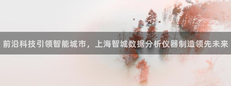 星娱乐online欧弟：前沿科技引领智能城市，上海智城数据分