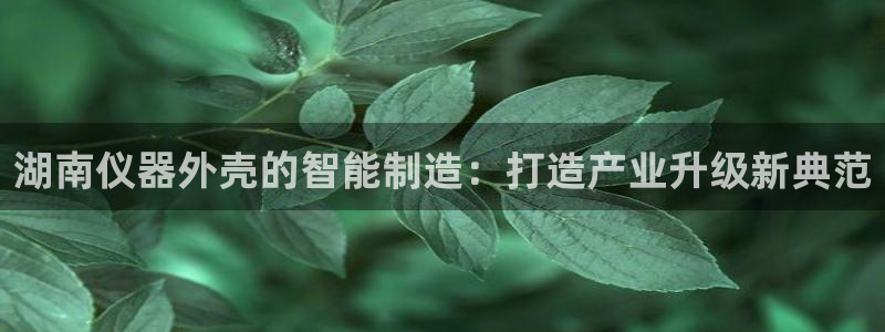 星欧娱乐旗下艺人名单：湖南仪器外壳的智能制造：打造产业升级新