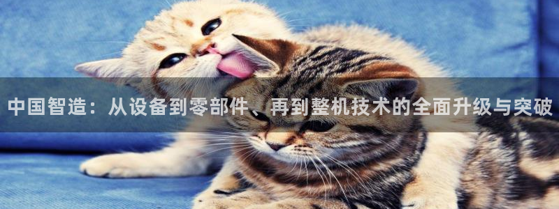 欧星在线娱乐下载安装：中国智造：从设备到零部件、再到整机技术