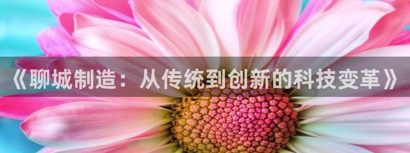 武汉欧汇星娱乐有限公司：《聊城制造：从传统到创新的科技变革》