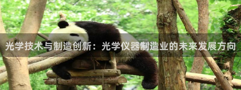 长沙星欧娱乐：光学技术与制造创新：光学仪器制造业的未来发展方