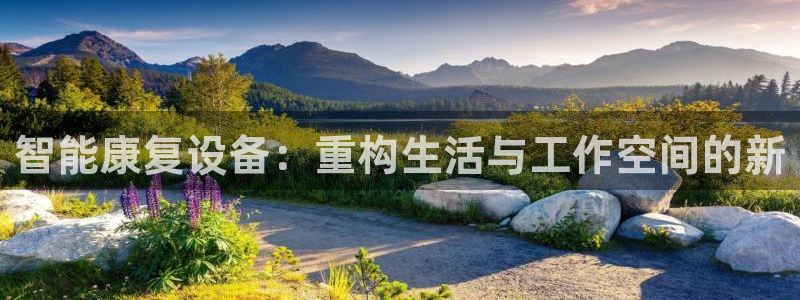 娱乐星天地欧豪：智能康复设备：重构生活与工作空间的新