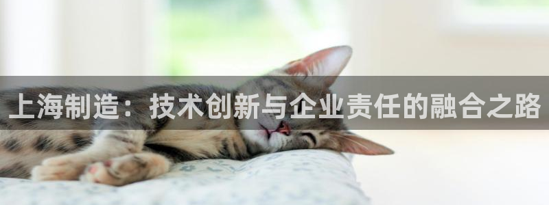 欧星国际娱乐：上海制造：技术创新与企业责任的融合之路