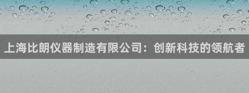 星欧娱乐公司老板背景：上海比朗仪器制造有限公司：创新科技的领