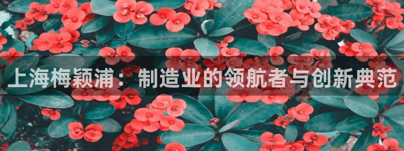 星欧娱乐改名后叫什么：上海梅颖浦：制造业的领航者与创新典范