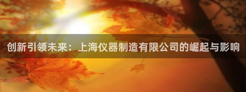 欧星娱乐竞技：创新引领未来：上海仪器制造有限公司的崛起与影响