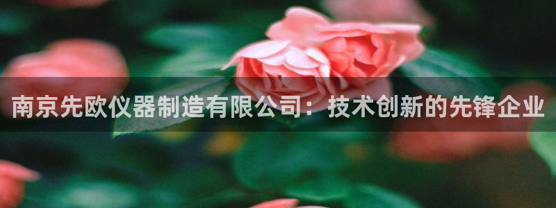 欧星娱乐：南京先欧仪器制造有限公司：技术创新的先锋企业
