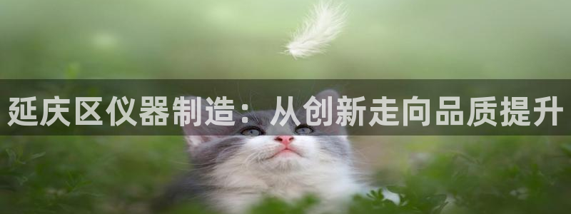 星欧娱乐旗下艺人名单：延庆区仪器制造：从创新走向品质提升