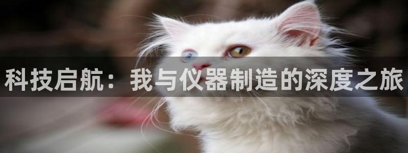 星欧娱乐官网登录：科技启航：我与仪器制造的深度之旅