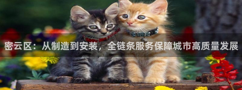 星欧娱乐娱乐是正规的吗