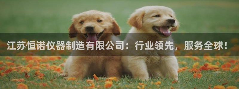 星欧娱乐官网在线登录入口：江苏恒诺仪器制造有限公司：行业领先