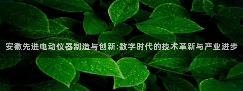 菲律宾亚星国际娱乐欧博：安徽先进电动仪器制造与创新:数字时代