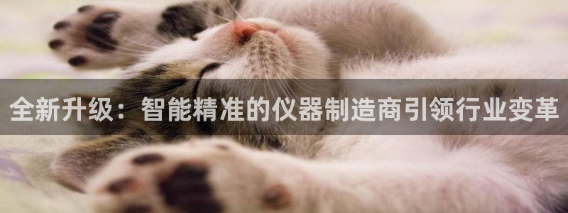 欧星在线娱乐：全新升级：智能精准的仪器制造商引领行业变革