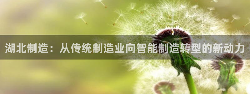 星欧娱乐平台注册入口：湖北制造：从传统制造业向智能制造转型的