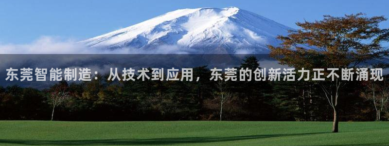 欧星娱乐注册：东莞智能制造：从技术到应用，东莞的创新活力正不