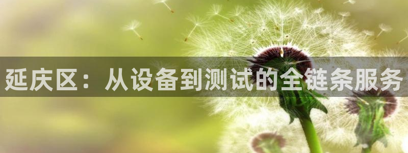 欧汇星娱乐：延庆区：从设备到测试的全链条服务