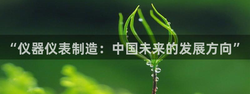 星欧娱乐扣款流程详解：“仪器仪表制造：中国未来的发展方向”