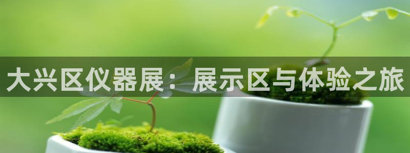 欧联杯正赛星辉娱乐：大兴区仪器展：展示区与体验之旅