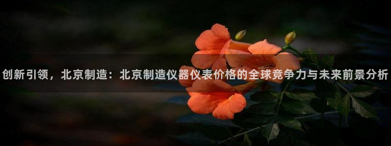 星欧娱乐平台注册入口：创新引领，北京制造：北京制造仪器仪表价