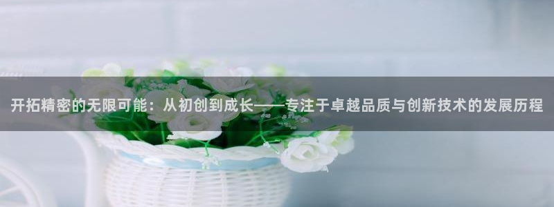 星欧娱乐法最新进展：开拓精密的无限可能：从初创到成长——专注