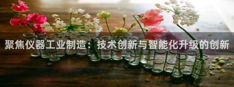 欧星娱乐是做什么的：聚焦仪器工业制造：技术创新与智能化升级的