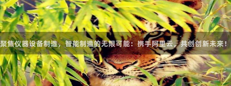 星辉娱乐欧联杯转播：聚焦仪器设备制造，智能制造的无限可能：携