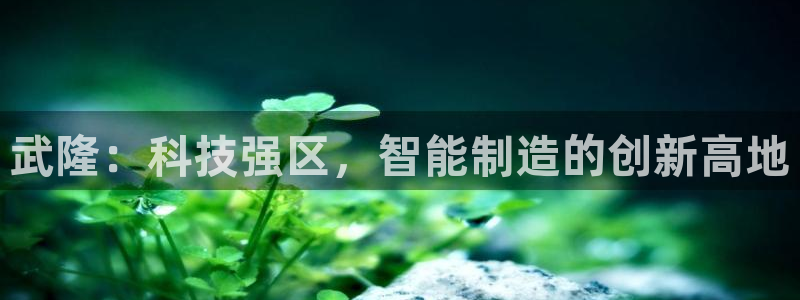 星欧娱乐平台：武隆：科技强区，智能制造的创新高地