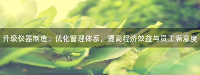 星欧娱乐公司：升级仪器制造：优化管理体系，提高经济效益与员工